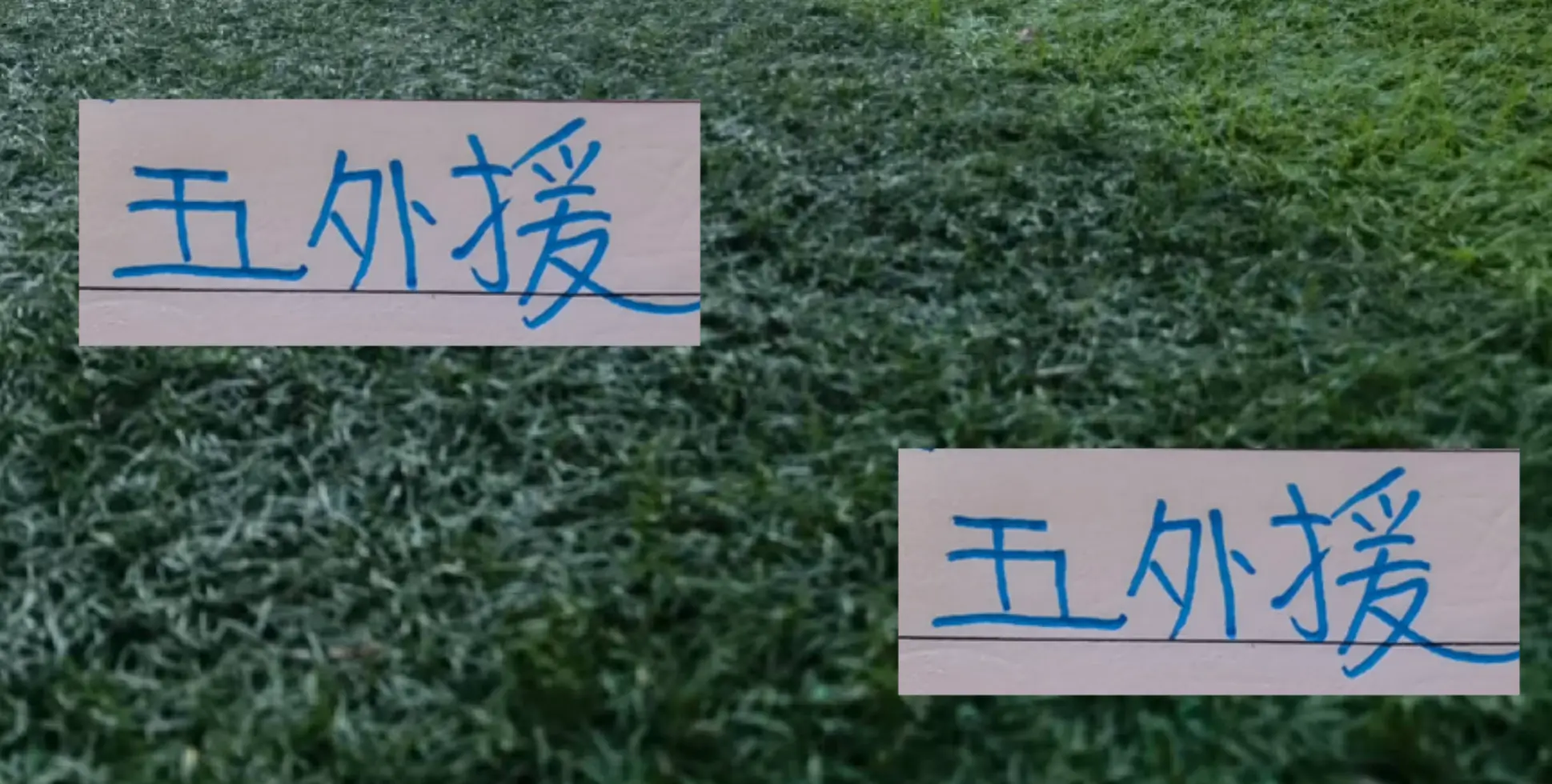 密切关注 密切关注