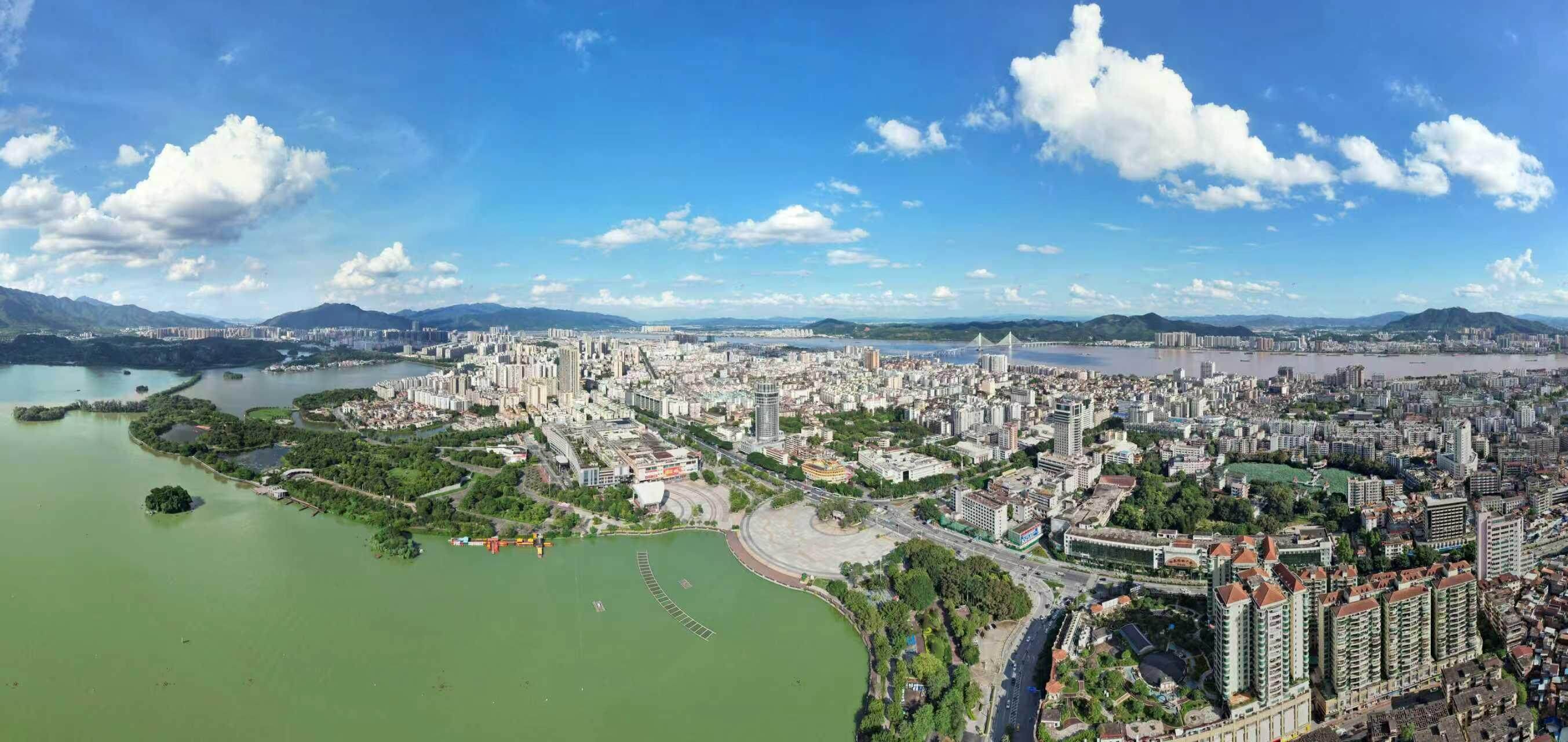 如冼东妹所, 陈晨