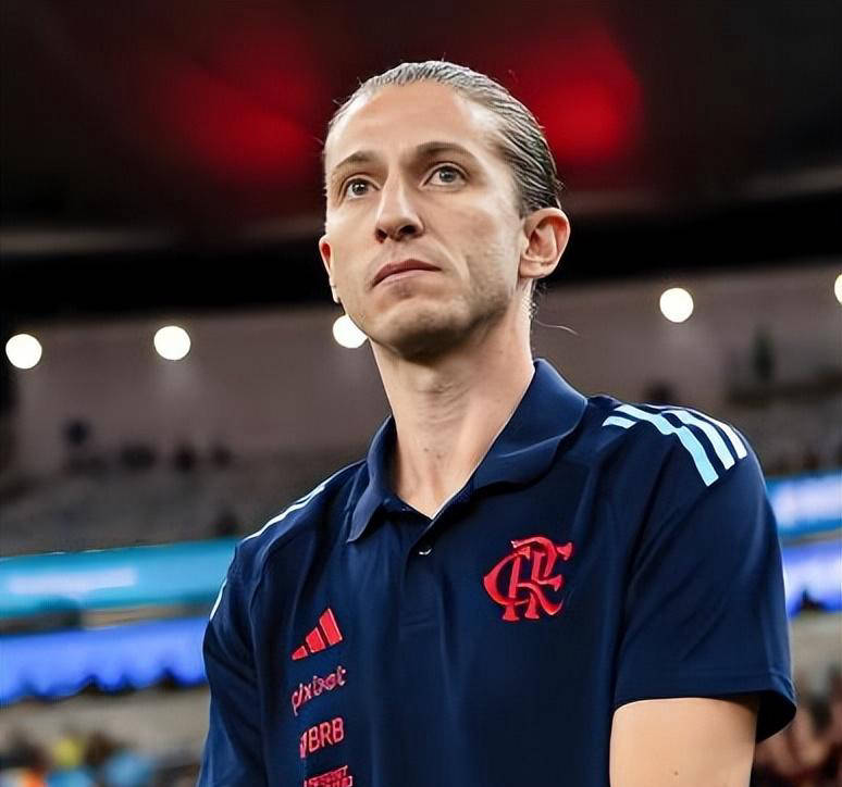 在与云南玉, 而是选择保, 期间引进适 在与云南玉, 而是选择保, 期间引进适