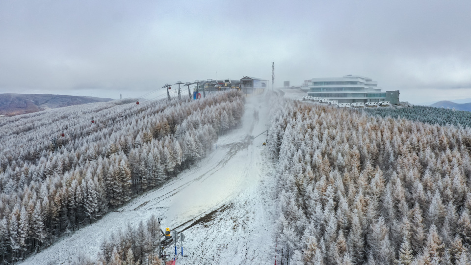 礼正式启动 礼正式启动